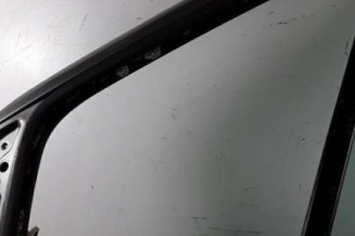 Porte avant gauche RENAULT SCENIC 1 Photo n°6