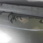 Pare choc arriere RENAULT CLIO 1