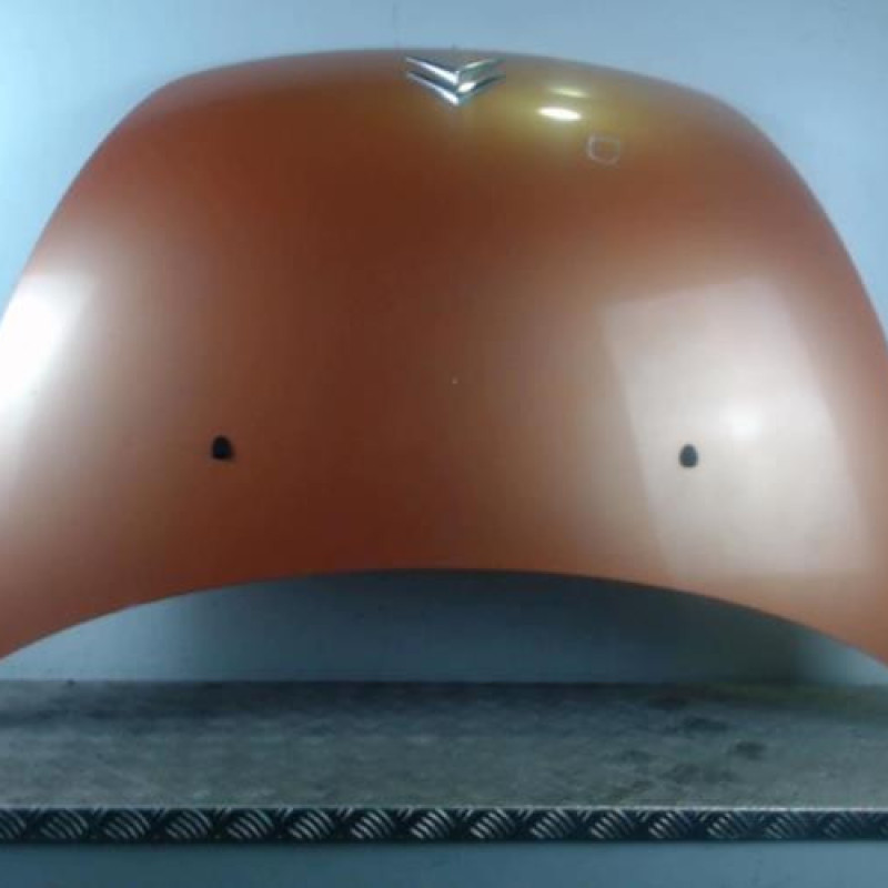 Capot CITROEN C3 PLURIEL