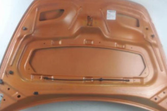 Capot CITROEN C3 PLURIEL Photo n°6
