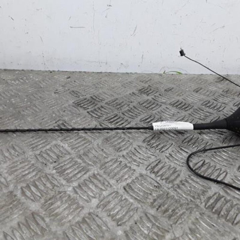 Antenne PEUGEOT 307 Antenne PEUGEOT 307