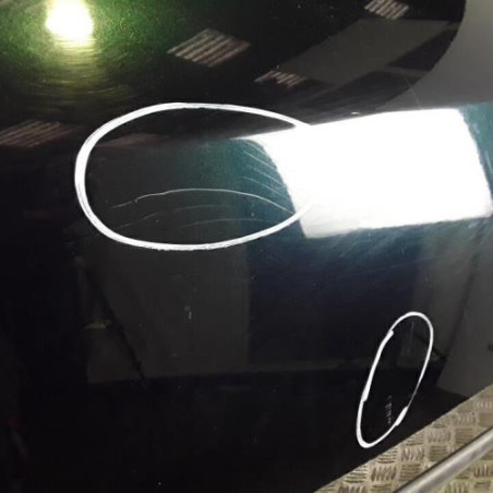 Porte arriere gauche RENAULT LAGUNA 2
