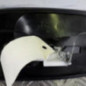 Poignee porte avant gauche RENAULT TRAFIC 2