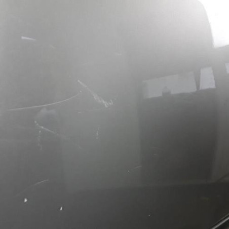 Porte arriere gauche SKODA OCTAVIA 2