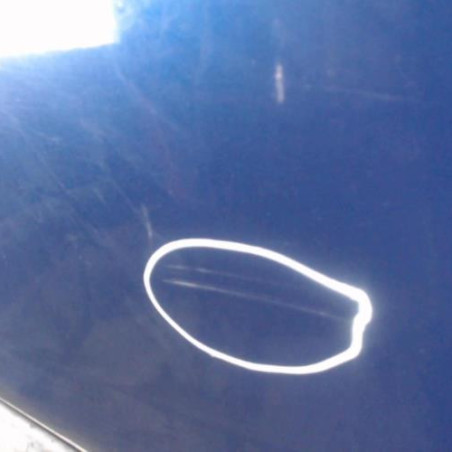 Porte arriere gauche RENAULT GRAND ESPACE 3