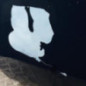 Porte avant droit FORD KA 1
