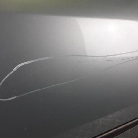 Porte arriere gauche RENAULT LAGUNA 2