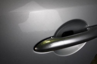 Porte arriere gauche RENAULT LAGUNA 2 Photo n°3