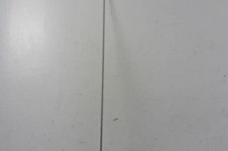 Antenne PEUGEOT 306 Photo n°1