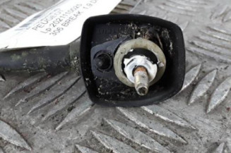 Antenne PEUGEOT 306