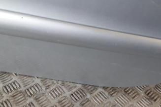Porte arriere gauche PEUGEOT 206