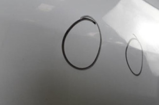 Porte avant droit RENAULT MEGANE 2 Photo n°1