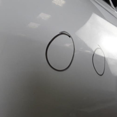 Porte avant droit RENAULT MEGANE 2 Photo n°1