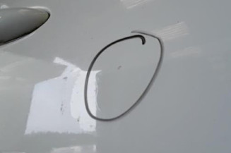 Porte avant droit RENAULT MEGANE 2