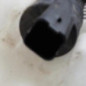 Vase de lave glace CITROEN C3 3