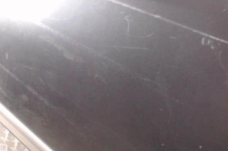 Porte arriere gauche RENAULT LAGUNA 2