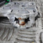 Leve vitre electrique avant droit PEUGEOT 407