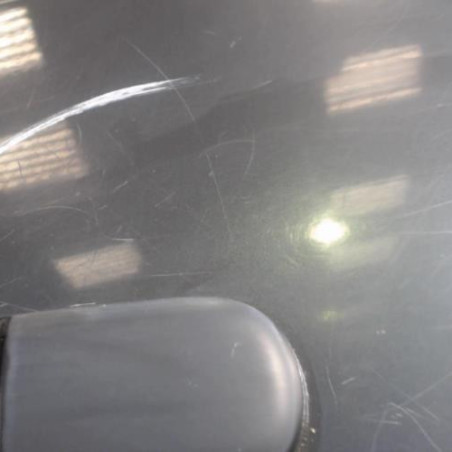 Porte arriere gauche VOLKSWAGEN POLO 3 Photo n°1