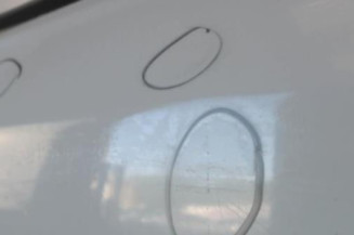 Porte avant gauche RENAULT LAGUNA 2