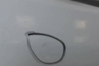 Porte avant gauche RENAULT LAGUNA 2 Photo n°4