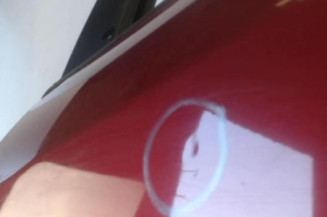 Porte arriere gauche FIAT GRANDE PUNTO