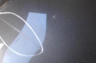 Porte arriere droit FIAT BRAVO 2 Photo n°3