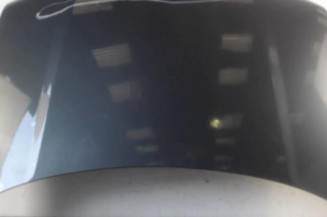 Capot VOLKSWAGEN BORA Photo n°1