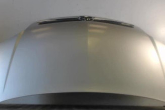 Capot OPEL MERIVA A Photo n°1