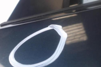 Porte arriere gauche VOLKSWAGEN POLO 4