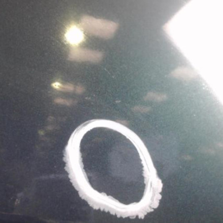Porte arriere droit PEUGEOT 306