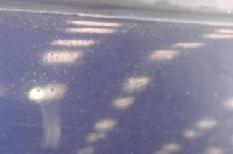 Porte arriere gauche VOLKSWAGEN POLO 3
