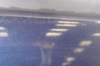 Porte arriere gauche VOLKSWAGEN POLO 3 Photo n°3
