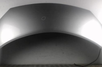Capot RENAULT SCENIC 2 Photo n°1