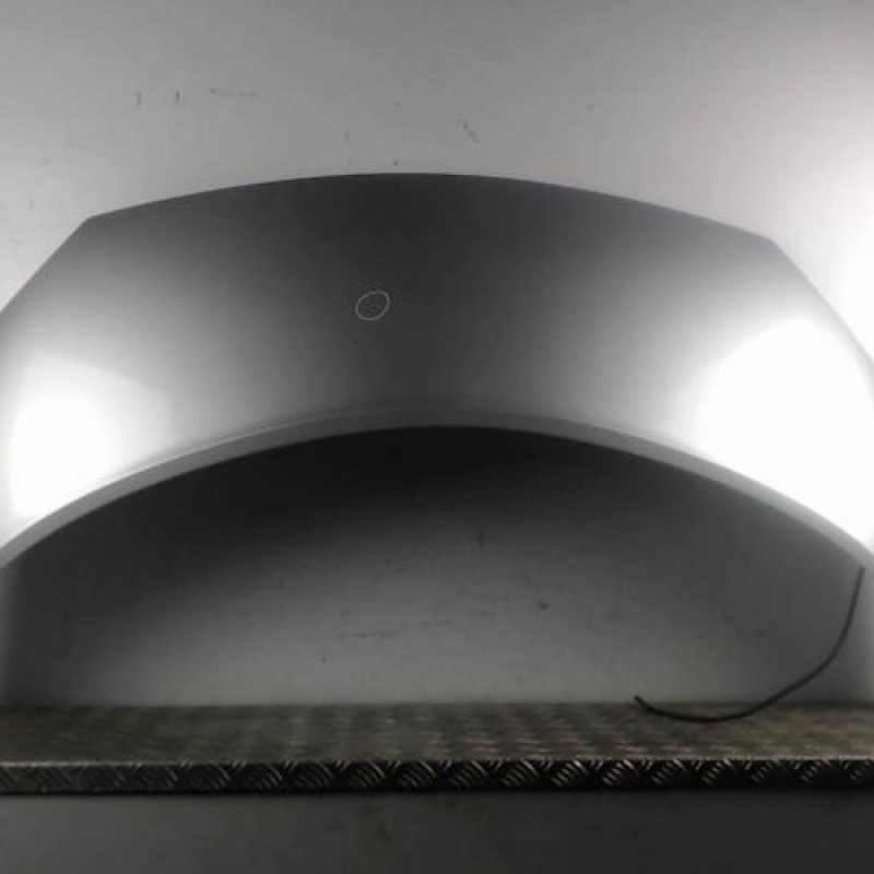 Capot RENAULT SCENIC 2 Capot RENAULT SCENIC 2