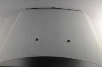 Capot FIAT DOBLO 1 Photo n°1
