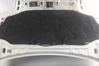 Capot FIAT DOBLO 1 Photo n°6