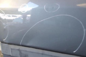 Porte avant gauche PEUGEOT 306