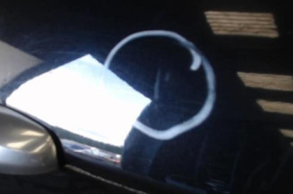 Porte avant droit ALFA ROMEO 147 Photo n°3
