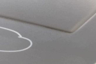 Porte arriere gauche CITROEN C4 GRAND PICASSO 1 Photo n°8