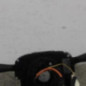 Com (Bloc Contacteur Tournant+Commodo Essuie Glace+Commodo Phare) CITROEN C3 1