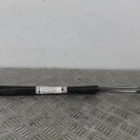 Verin de coffre BMW X5 E53 Photo n°1