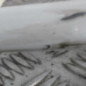 Poignee porte avant gauche RENAULT CLIO 4