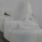 Vase de lave glace RENAULT LAGUNA 3