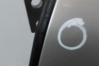 Porte arriere gauche PEUGEOT 607