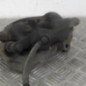 Etrier avant droit (freinage) RENAULT TRAFIC 2