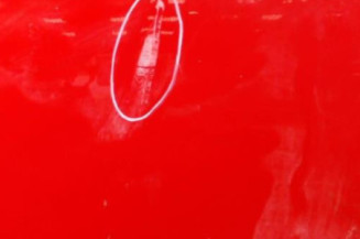 Porte avant gauche MINI MINI 1 R50/R53