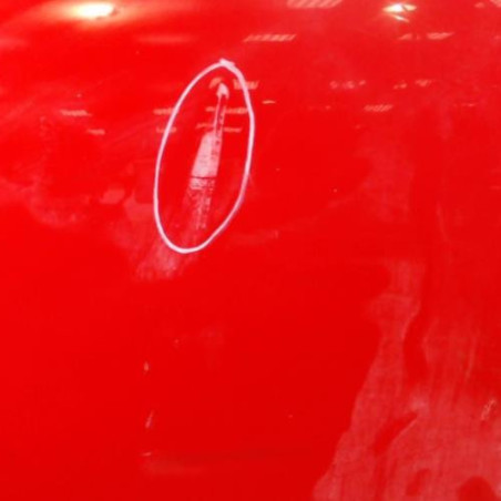 Porte avant gauche MINI MINI 1 R50/R53