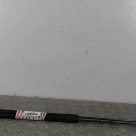 Verin de coffre RENAULT MEGANE 3