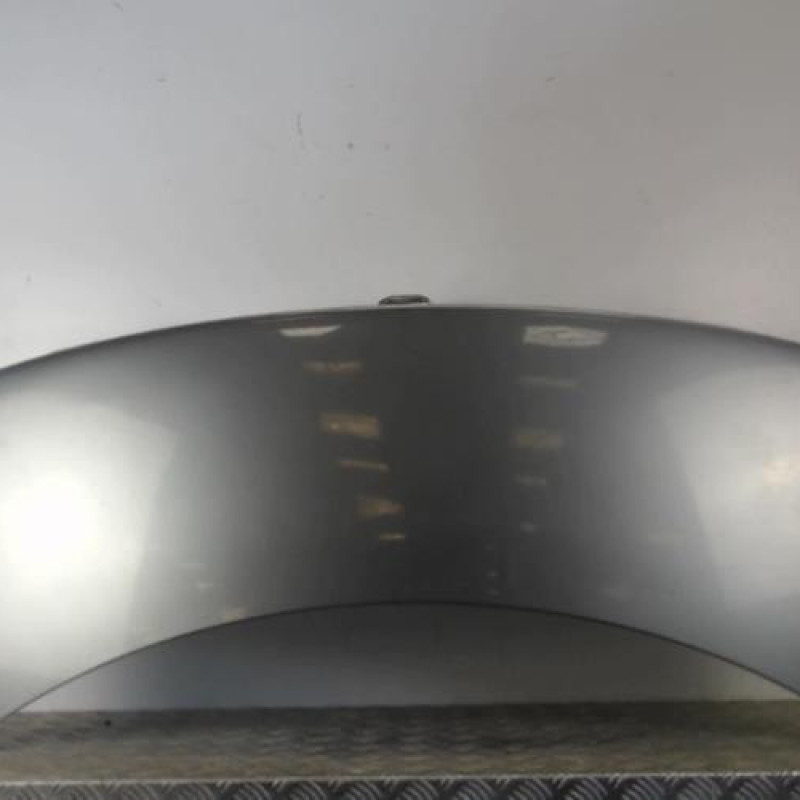 Malle/Hayon arriere PEUGEOT 406