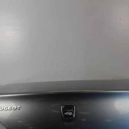 Malle/Hayon arriere PEUGEOT 406